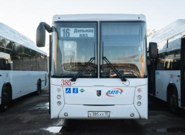 Расписание автобусов в Вологде изменится с 1 ноября 2022 года
